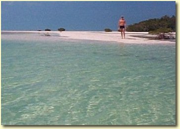 Cayo Alcatraz beach