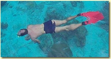 snorkelling