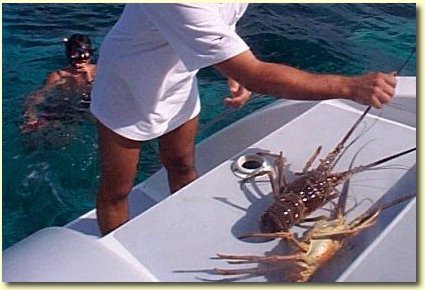 lobster fishing