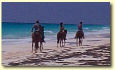 Horse back riding