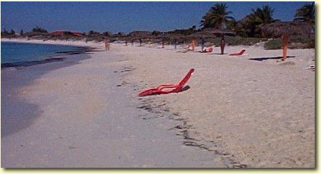 The beach
