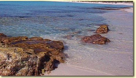 The beach
