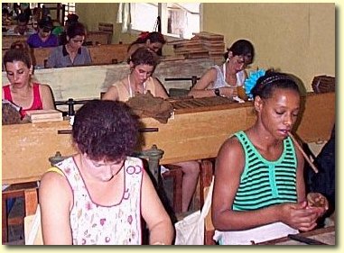 Fabrique de cigares