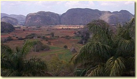 Collines typiques